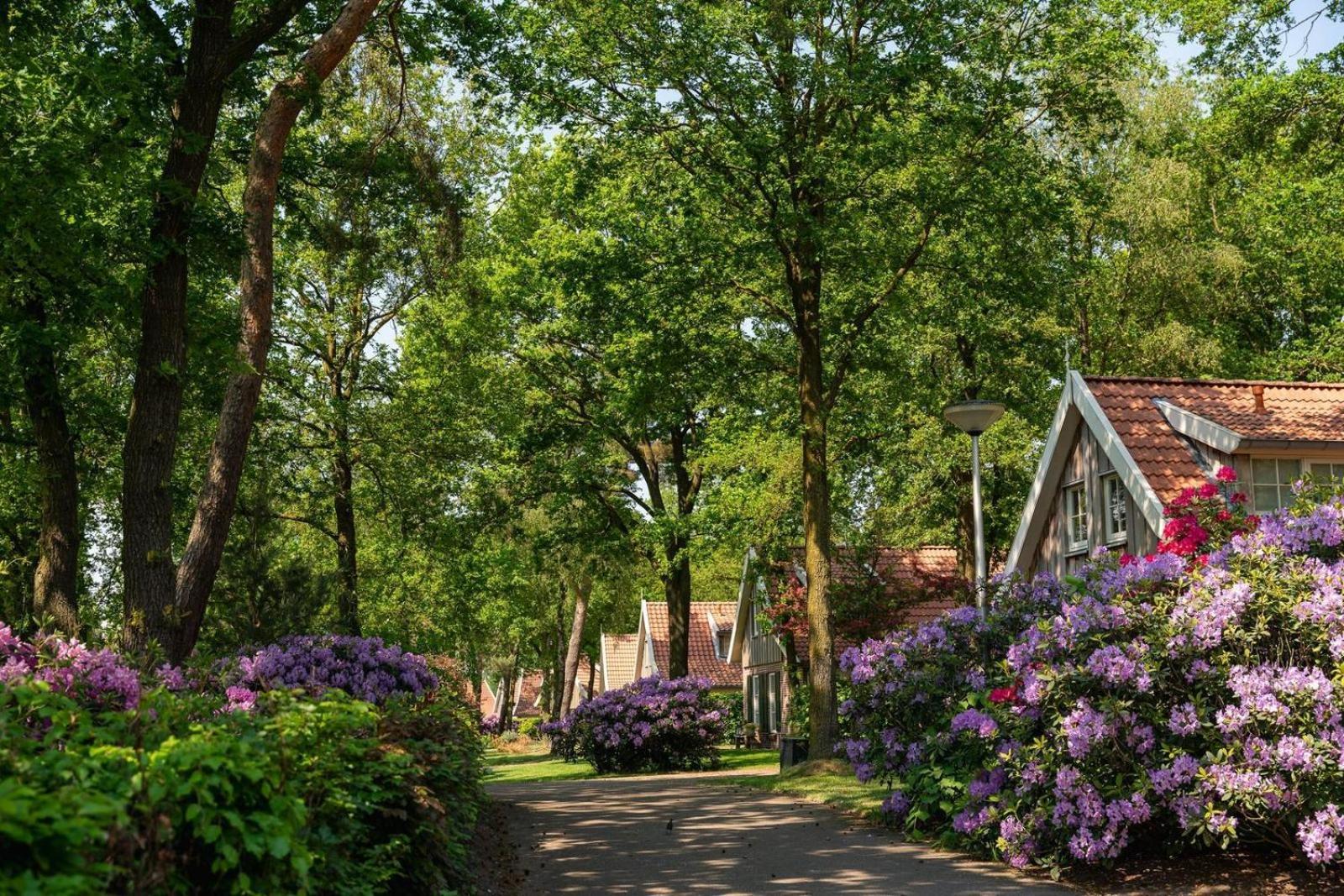 Vila De Bosuil Hoge-Hexel Exteriér fotografie